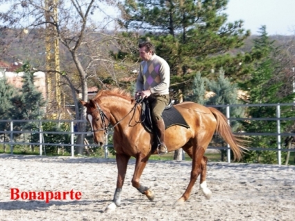 bonaparte