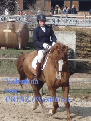 vale prinz